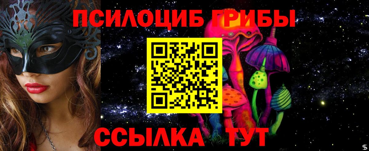 Ессентуки  Псилоцибиновые грибы мицелий  Вход с VPN 