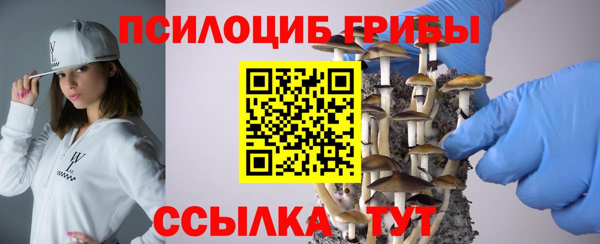 Псилоцибиновые грибы Cubensis Ессентуки